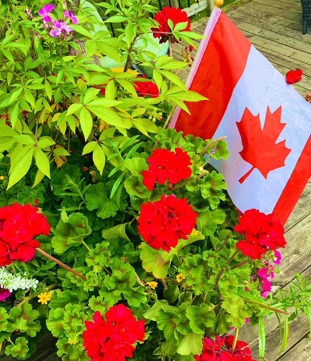 #HappyCanadaDay2022