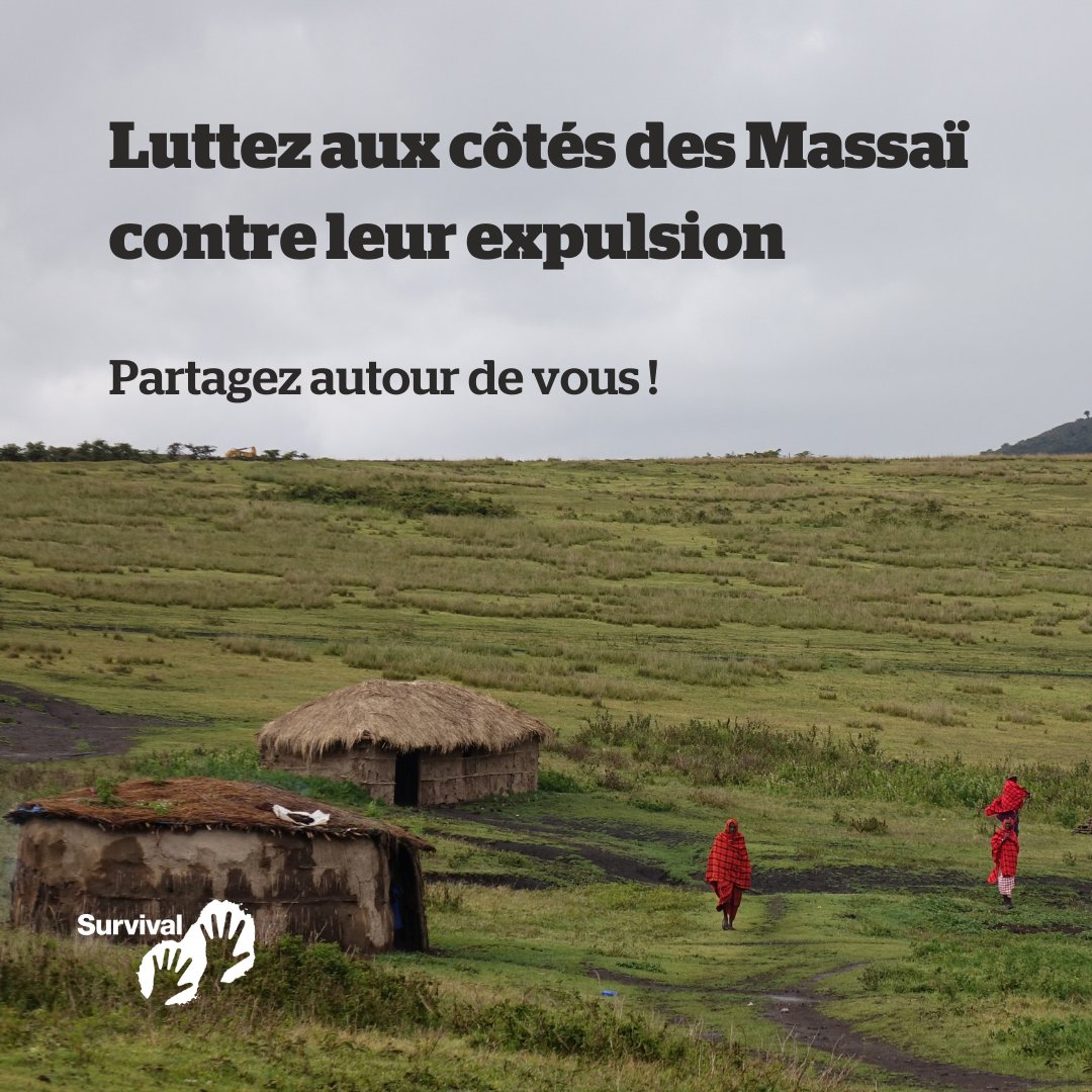 survivalfr's tweet photo. Vous avez été nombreux à nous demander comment vous pouvez agir contre l’expulsion des Massaï en Tanzanie.
Sans la mobilisation et la pression internationale le gvt tanzanien va mener les expulsions jusqu'au bout.

Apprenez en plus et découvrez comment agir👇
#StopMaasaiEviction https://t.co/Mu5YViaW4X