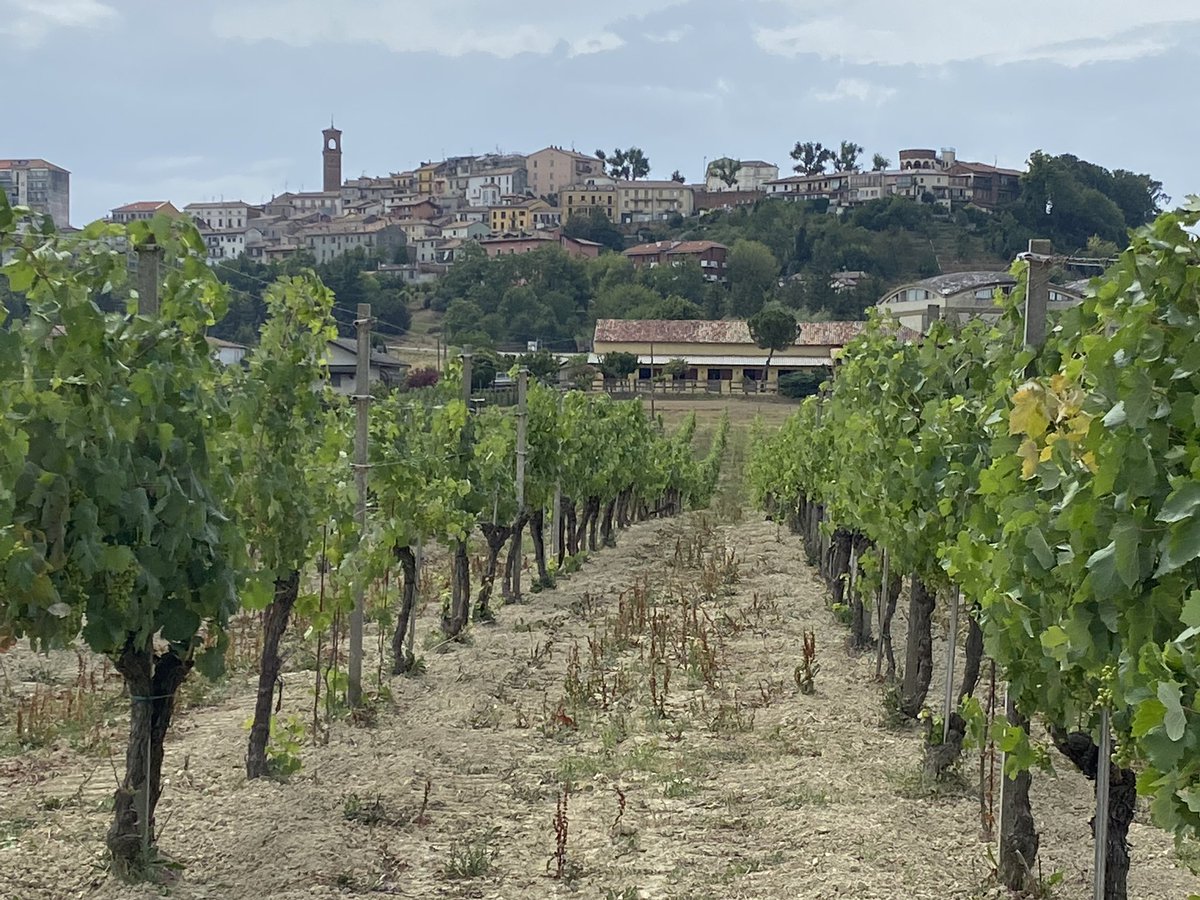 M vd Werf tweet media