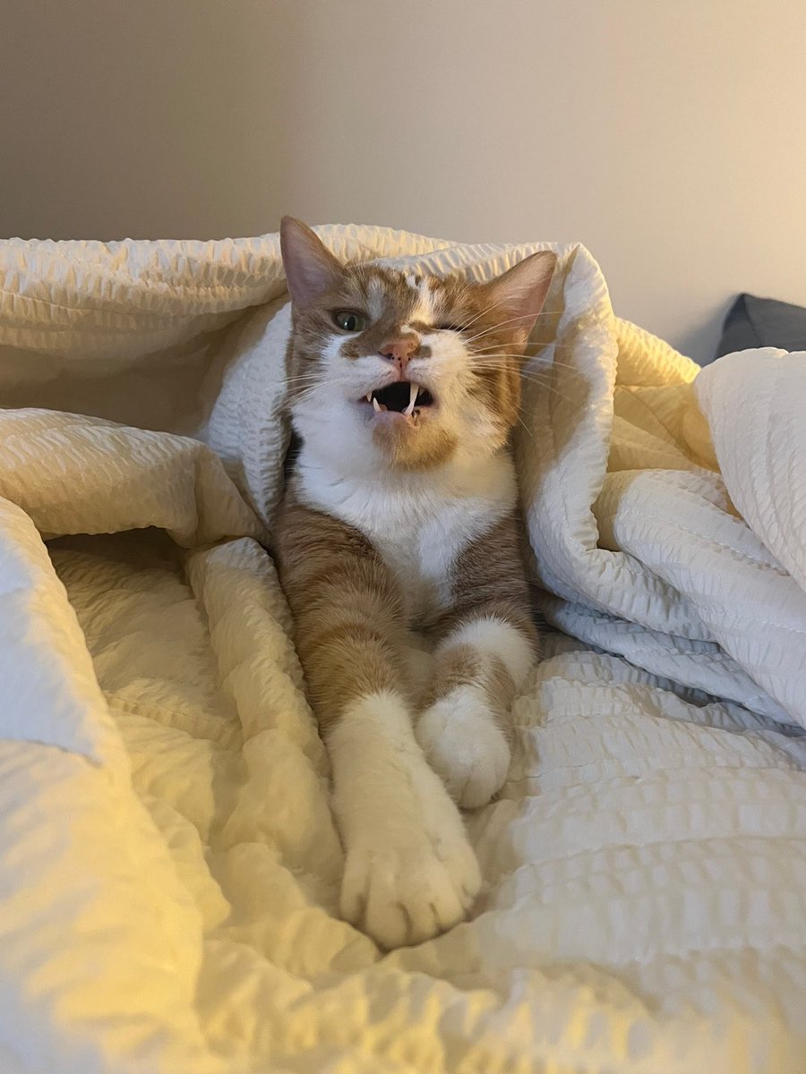 EXY_S2's tweet image. 아기호뤵이~