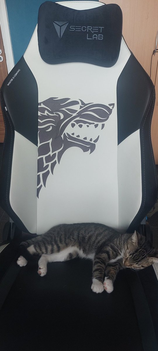 Druidwolfden's tweet photo. Looks Like even the house Cat "Stripes" Loves @secretlabchairs as well. That's how comfortable these chairs are I can't get my chair back looks like it going to be Stripes going LIVE tonight instead of me🤣🤣🤣.
Hope you all have a wonderful day and have great streams! #Streamcat https://t.co/1NeM0QaceF