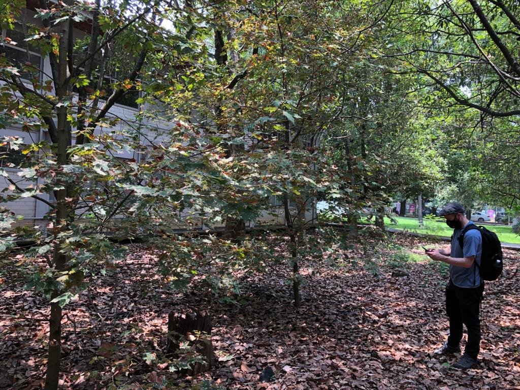 Botanic Gardens Conservation International tweet media