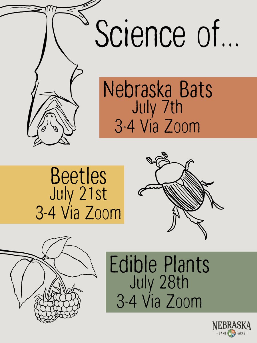 NEGameandParks's tweet photo. Check out these #WildlifeEducation free virtual events coming up in July!

Find all our education events here: https://t.co/sT6xfFteMK

#OutdoorNebraska #ScienceOf #VirtualEvents #wildNebraska #biologist #WildlifeEducation #wildlife #Nebraska https://t.co/dfjVbZU4m0
