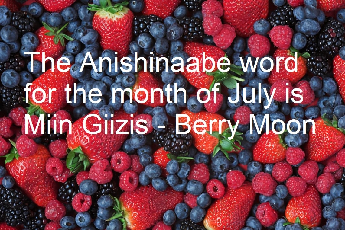M_Aandeg's tweet photo. As we enter into this new month of July, in our Anishinaabe language we call this Miin Giizis - The Berry Moon, named for this season when the berries are so plentiful. Wishing everyone a good month ahead. #July #BerryMoon #summerberries https://t.co/QumwQSrfWj