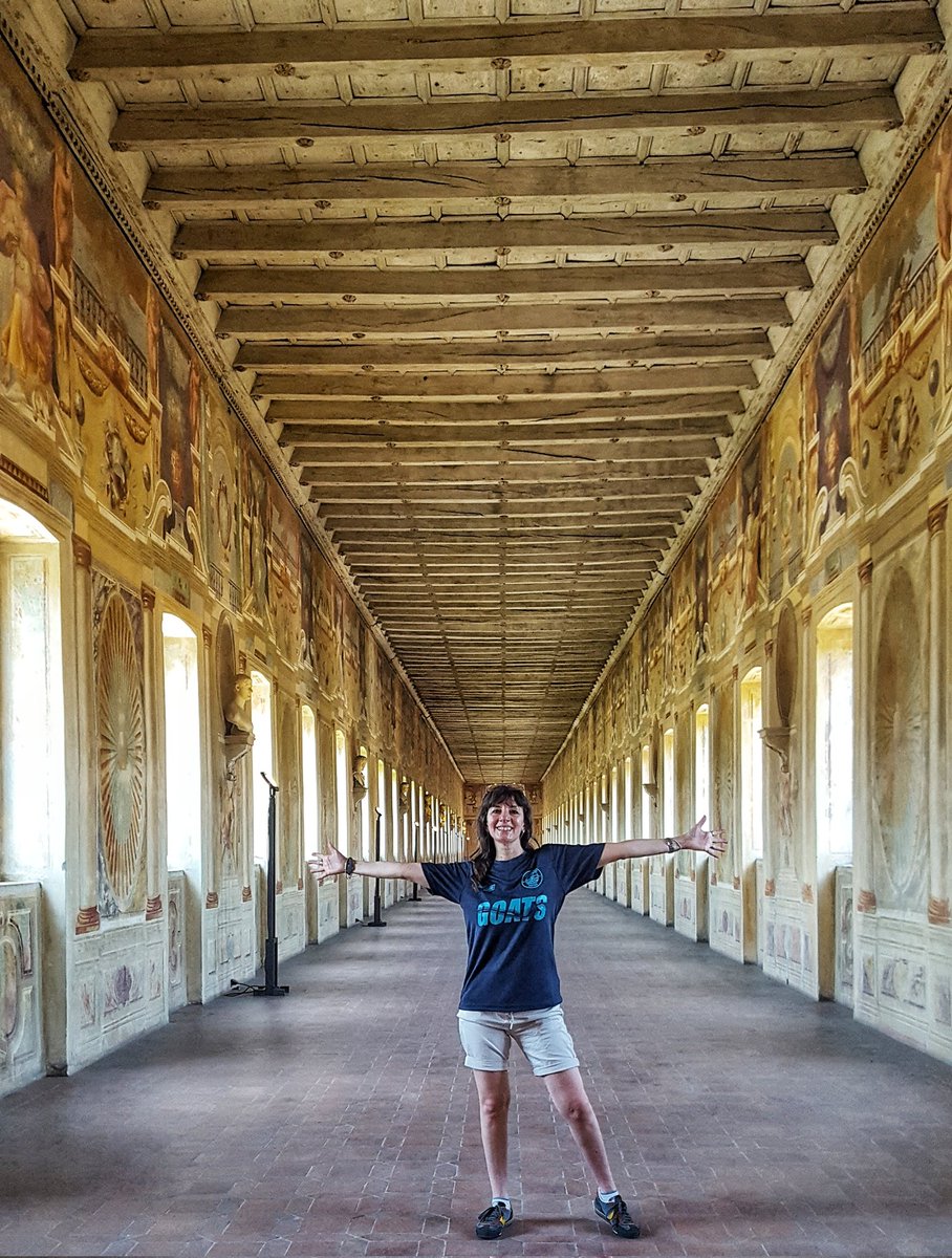 KatiaKgiglio's tweet photo. @CavershamUnited @CavershamUtdWFC @footballkitbox @hgsportswear @kitandbone @Ballstocancer @PhantomBrewCo @fiberkshire @BerksandBucksFA @EnglandFootball @MundialMag #GlobalGoats Could this be in?
#LongCorridor #PalazzoGiardino #Sabbioneta https://t.co/hypd5EfwRS