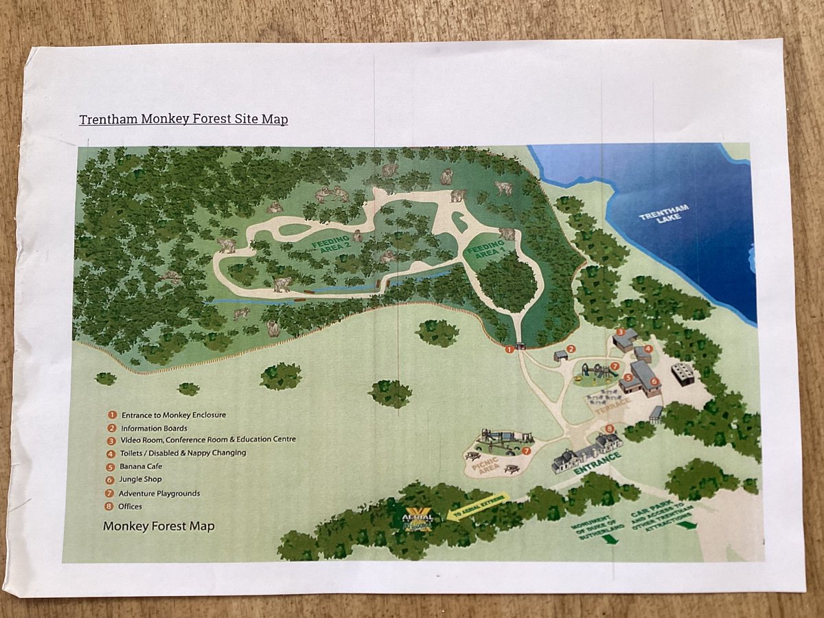 ReceptionWia's tweet photo. Our adventure to the Monkey Forest saw us quietly exploring to spot the monkeys doing different things @Office_WIA @whitchurchCEFed @StBartsTrust @TheBTSAHub https://t.co/jcAqAI726b