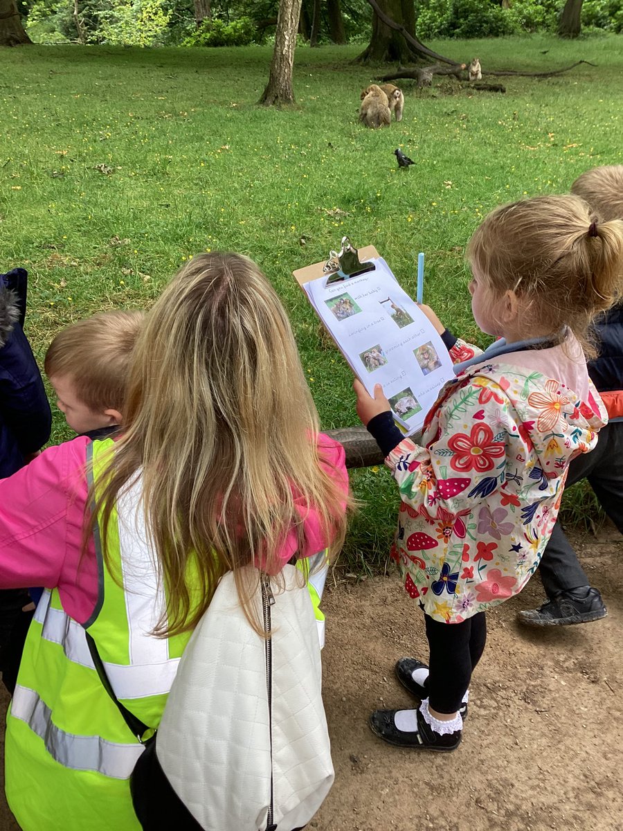 ReceptionWia's tweet photo. Our adventure to the Monkey Forest saw us quietly exploring to spot the monkeys doing different things @Office_WIA @whitchurchCEFed @StBartsTrust @TheBTSAHub https://t.co/jcAqAI726b