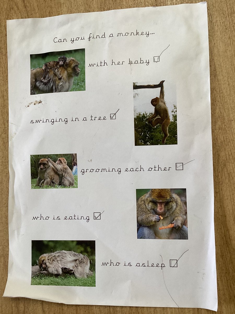 ReceptionWia's tweet photo. Our adventure to the Monkey Forest saw us quietly exploring to spot the monkeys doing different things @Office_WIA @whitchurchCEFed @StBartsTrust @TheBTSAHub https://t.co/jcAqAI726b