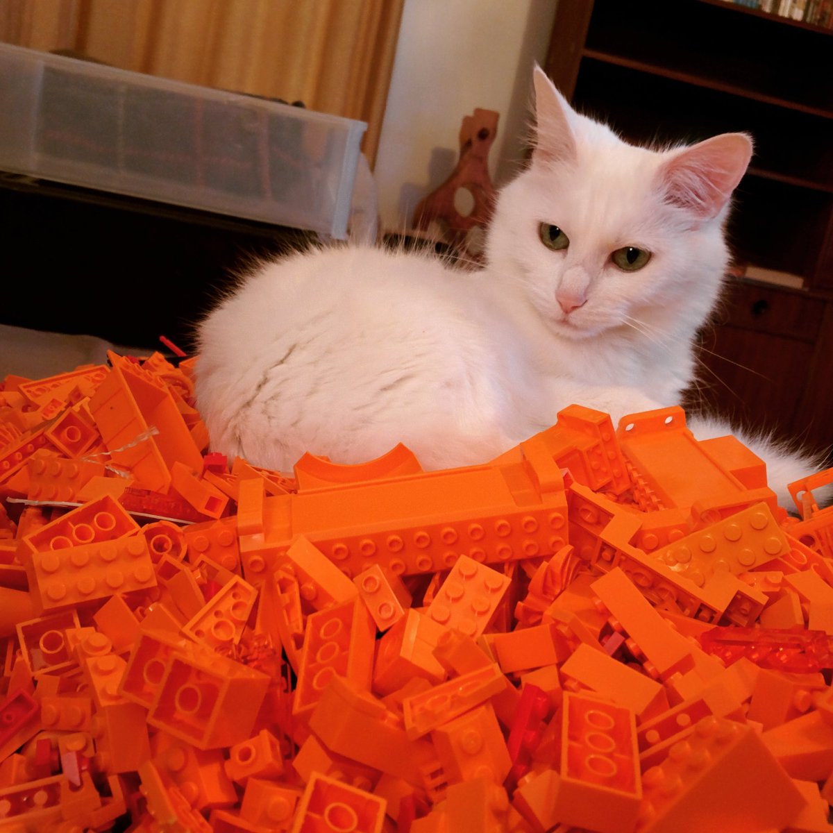 Ignatius Jones tweet media