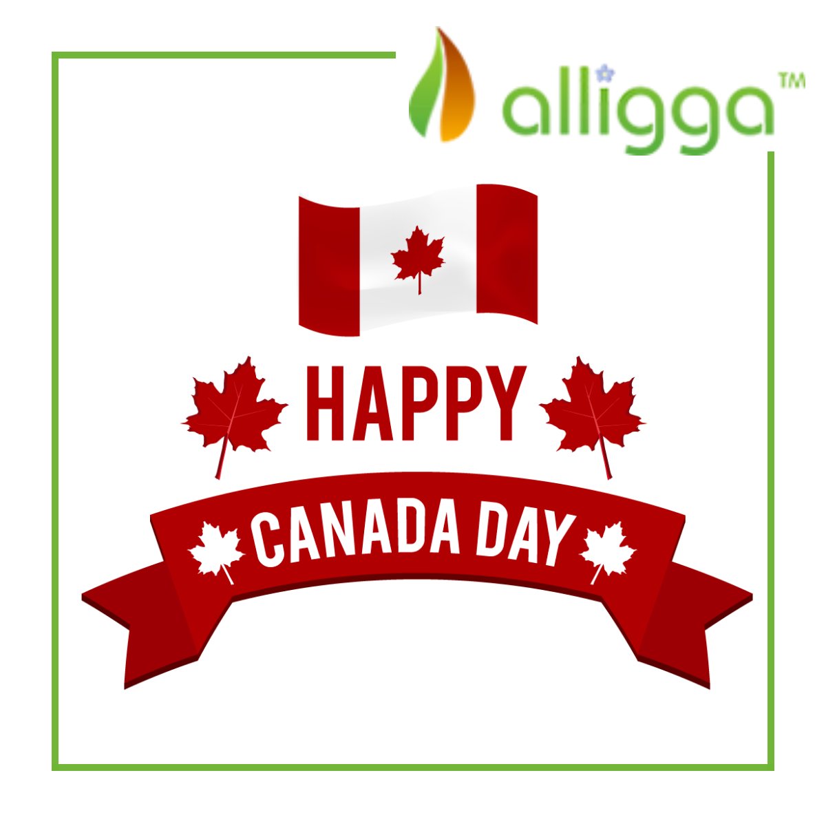 Happy Canada Day to our fellow Canadians. Sending our wishes for a safe and happy celebration. 🇨🇦 🎆

alligga.com 

#livehealthylivenatural #happycanadaday #canadaday #ilovecanada #letscelebrate🇨🇦 #alligga #proudlycanadian #celebratingcanada #canadianpride