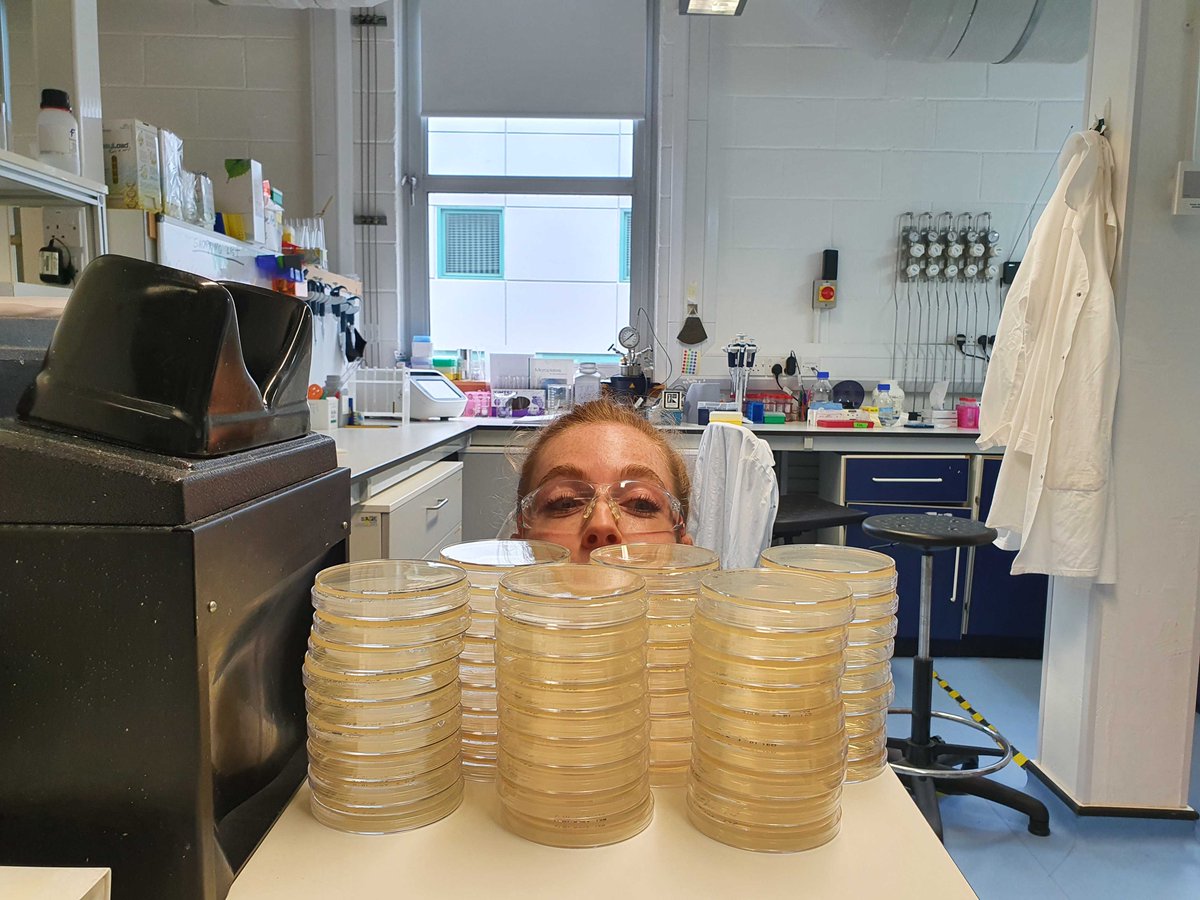Plates for days
<a href="/keen_macbean/">Katherine Macfarlane</a> 
#chemtwitter #Science