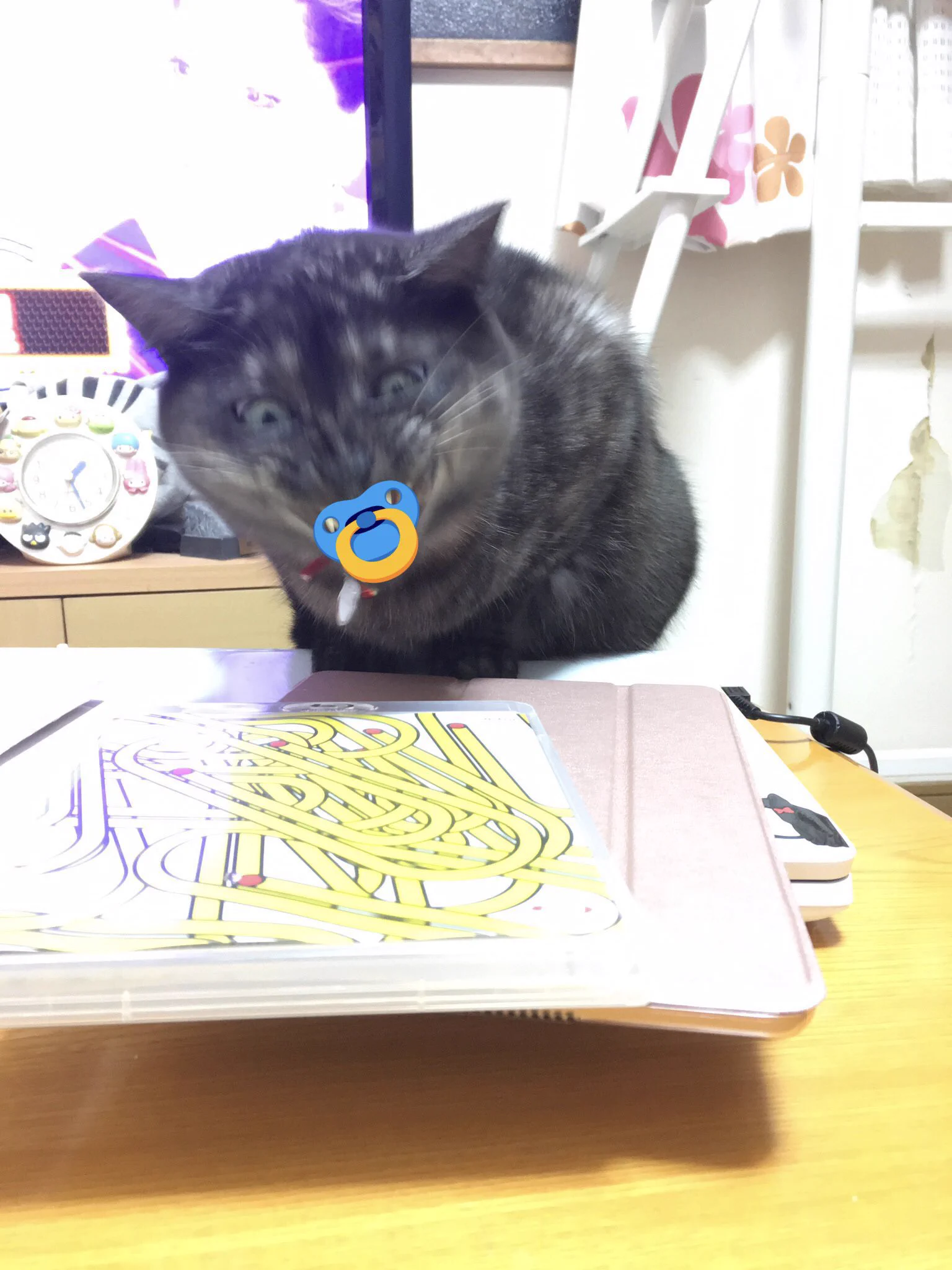 @ruuiruiruirui 猫ちゃんはわんちゃんと比べて表情が乏しいと聞きますが、そんな事ないですよね🐱色々な表情があって癒されますね😌うちのまるも悪魔顔になります😾 