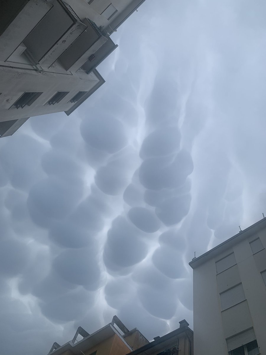 kvictoria_tc's tweet photo. Dejaré fotitos de las nubes de hoy por aquí por que no las supero 🤯 https://t.co/0ylBarMyzO