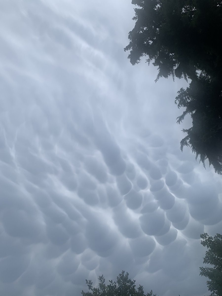 kvictoria_tc's tweet photo. Dejaré fotitos de las nubes de hoy por aquí por que no las supero 🤯 https://t.co/0ylBarMyzO