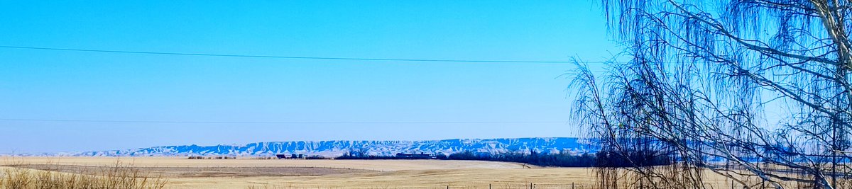 mhuggins_'s tweet photo. @CryptoskullK Nitsitapii Territory... Rural Southern Alberta, Canada

About an hour north of Montana border and @GlacierNPS &amp; @WatertonLakesNP

The view out of my front window was made famous by a 1937 #AYJackson landscape https://t.co/QEEu0MefZm