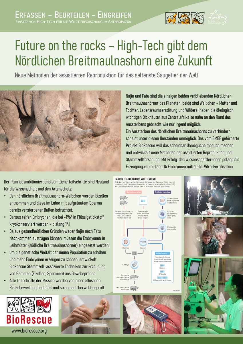 Morgen ist Lange Nacht! Auf der <a href="/LNDWBerlin/">LNDWBerlin</a> sind wir mit einem Stand auf dem Campus der <a href="/FU_Berlin/">Freie Universität</a> dabei. Neugierige können mehr über Geier, Löwen, Nashörner und viele mehr lernen - und wie wir mit Hightech die Tiere und ihre Lebensräume besser verstehen und schützen können!