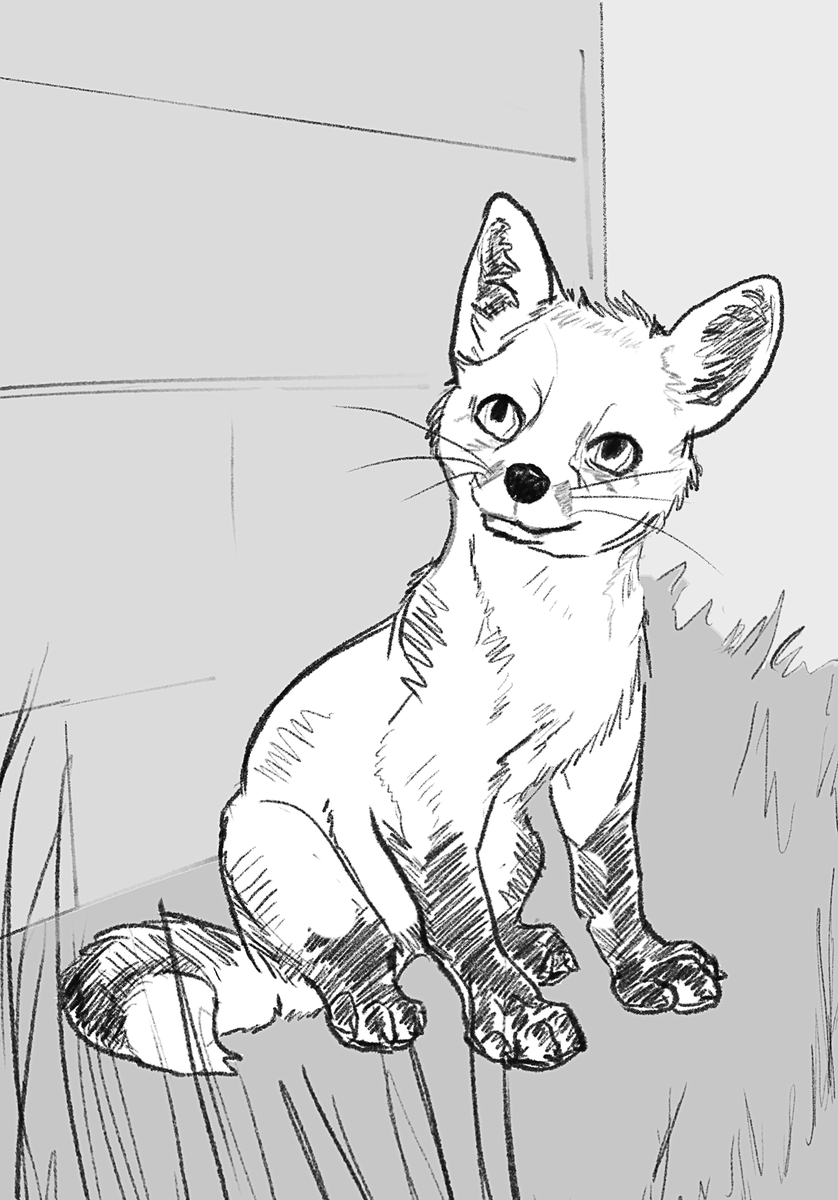 VixelFox's tweet photo. A few gesture study foxes! Drawn in Procreate on iPad. #foxes #gestures https://t.co/G8Mj1Gip0N