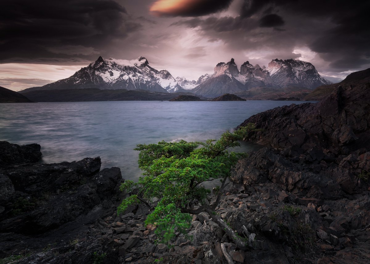 FranWoloch's tweet photo. A photo from 2018 in Torres del Paine. 🗻
Hope you like it. 🙂 https://t.co/eBarfWGq6G