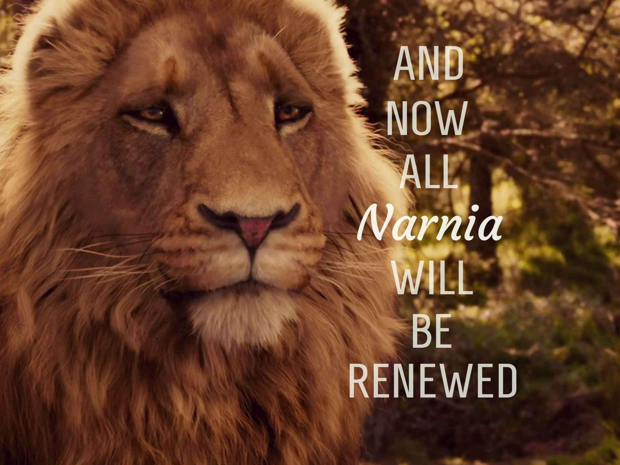 Aslan-Lion-3-The-Chronicles-of-Narnia-Wallpaper – While We're Paused…