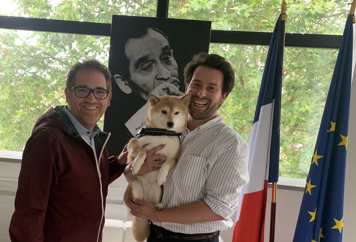 ait_eddie's tweet photo. Le vendredi, à @ville_carrieres, les #animaux sont permis en mairie.
Avec #Fraya, fidèle compagnon de @K_Schwendi.
#VilleAmieDesAnimaux
@L214 @Pol_Animaux https://t.co/uYUerZ08EV