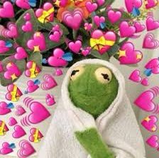 andreaselena_'s tweet photo. Us when ekin su and davide come on our screens #LoveIsland https://t.co/JG3lPWEQUz