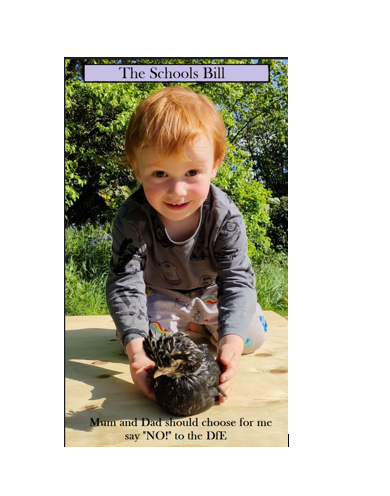 Education Otherwise (@eduotherwise) on Twitter photo 