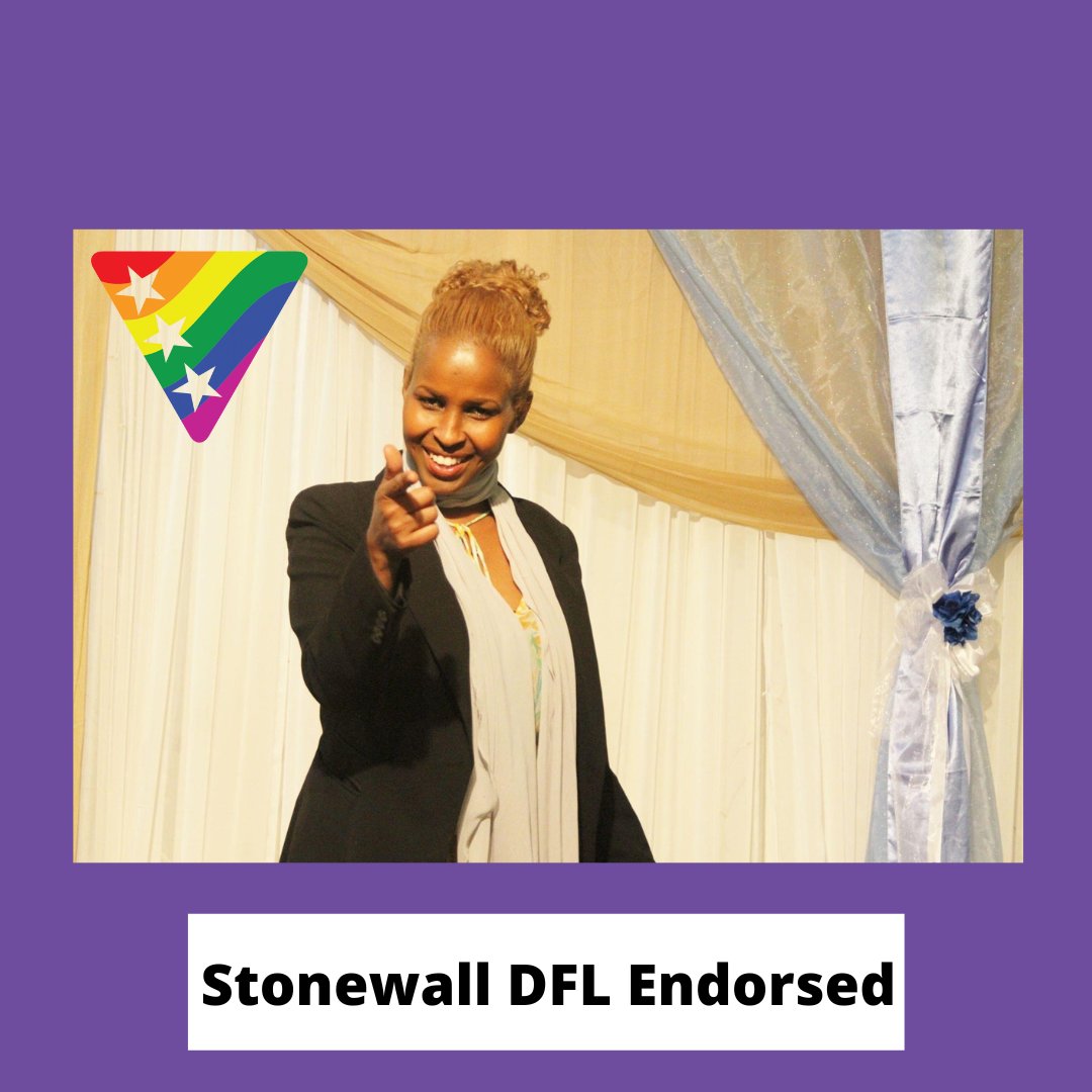 StonewallDFL photo