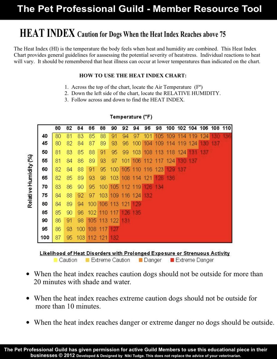 We may sound like a broken record, but these temperatures are no joke! Be sure to take extra precautions with your pets when outside and always keep an eye on the weather for the day.