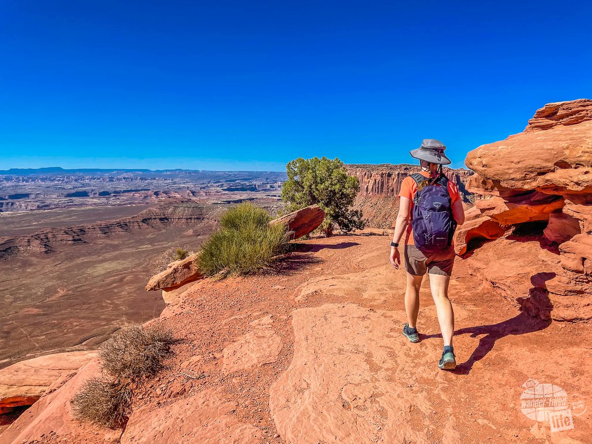 wander_filled's tweet photo. One of the best parts of Canyonlands National Park’s Island in the Sky unit are the views. Since you are atop a mesa, it doesn’t seem to matter which trail you take because the views never seem to end.
#FindYourPark #VisitUtah #Moab #DiscoverMoab https://t.co/MAhmGHw2At