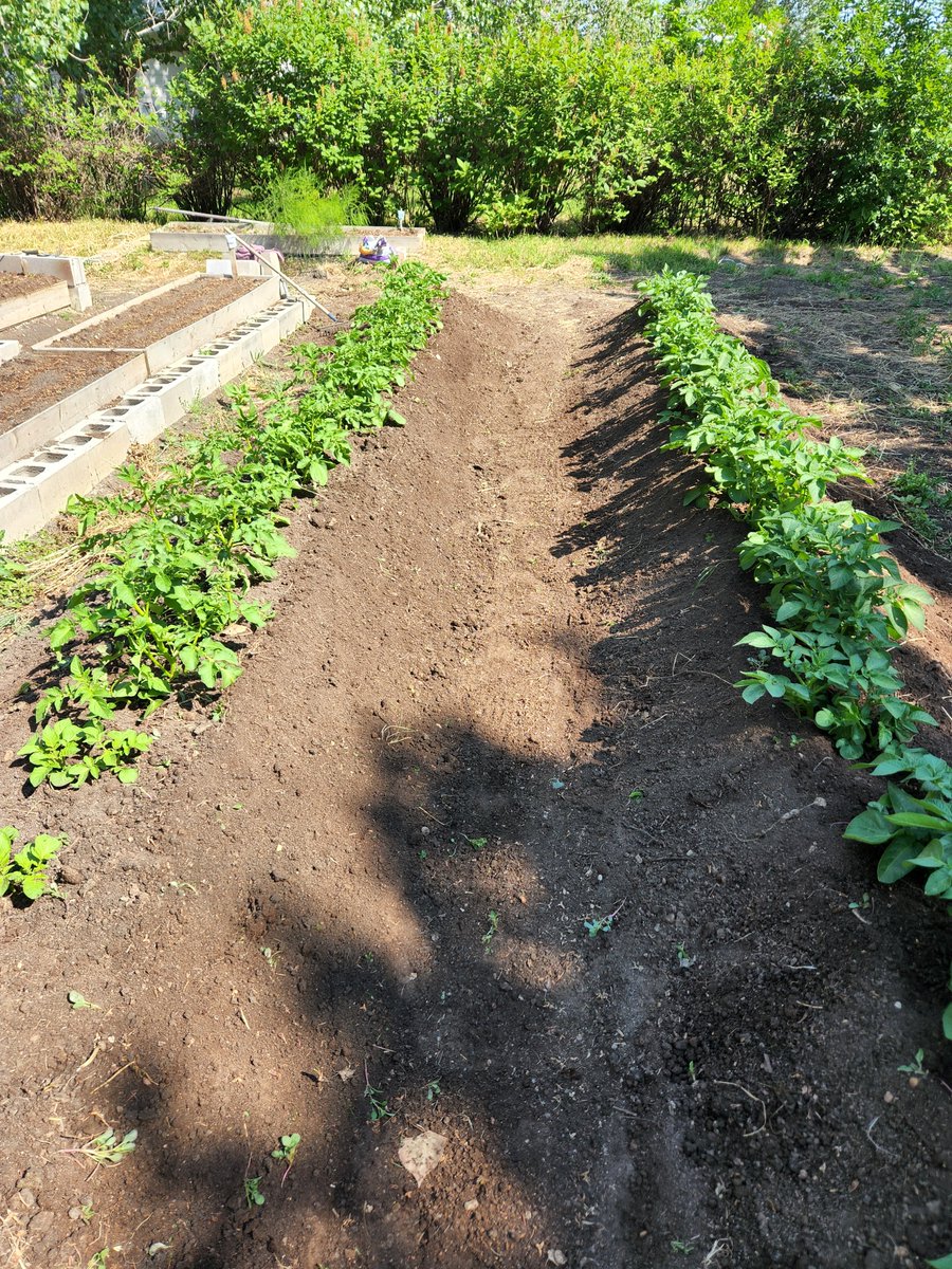 Tim Wiens tweet media