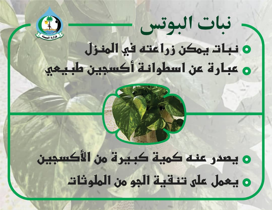 وزارة البيئة - ليبيا tweet media