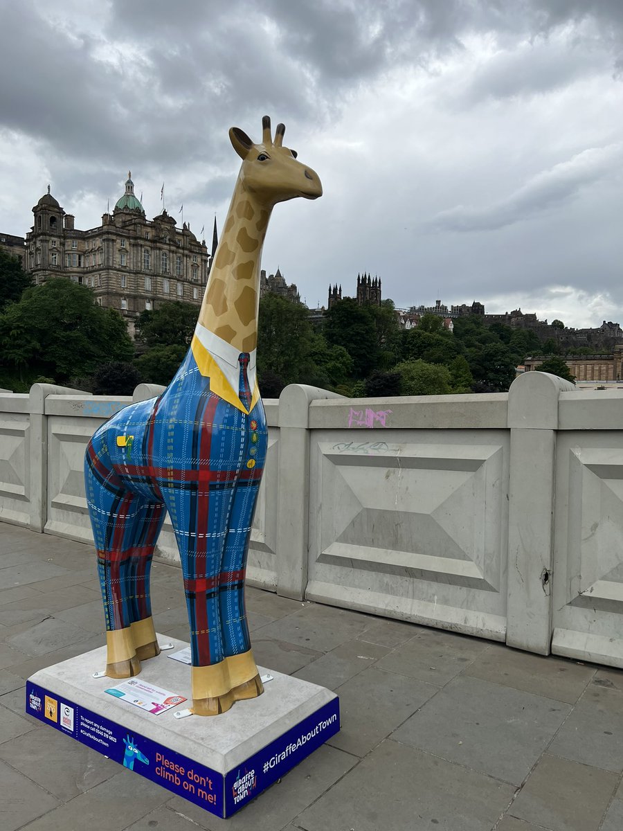 Saw my first one #GiraffeAboutTown - fantastic!