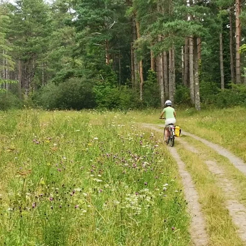 GreenLaneBikeT1's tweet photo. Looking forward to next Saturday's #GuidedBikeTour, an easy, flat practically traffic-free cycle to what many of us consider the best bit of #Anglesey (if not #Wales π) https://t.co/2HJ74x4umU
Will you be joining us? π΄πΏββοΈπ΄π½ββοΈ
#dayout #exploreAnglesey #cycling https://t.co/1O15mzgGYa