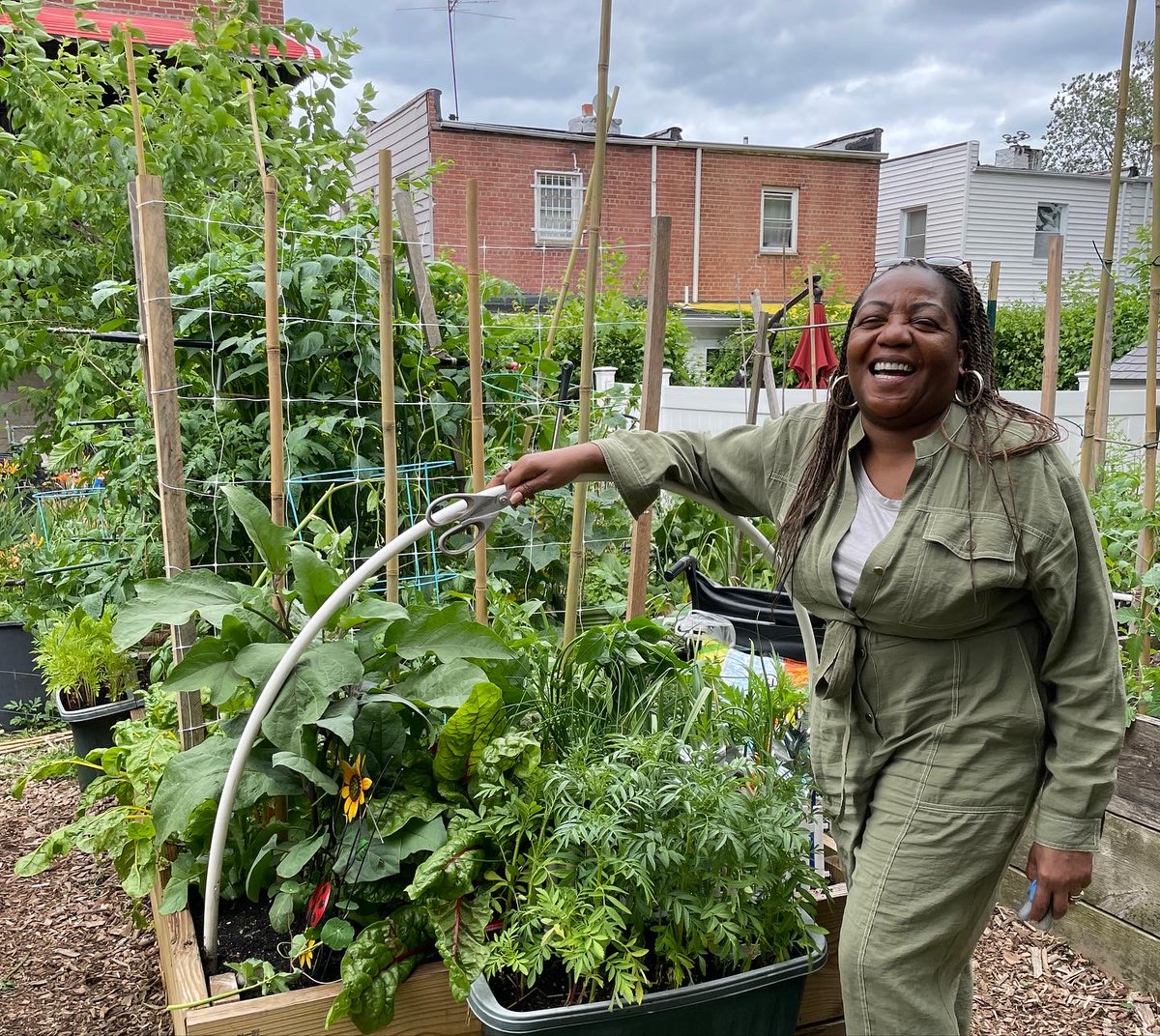 NYRP's tweet photo. Our #UrbanAg team has been all around the city teaching our community gardeners how to grow vertically through #trellising! 🪴 Our crew held workshops on different types of techniques like a basketweave pattern for #tomatoes, as well as #hortanova net for #cucumbers! 🍅 https://t.co/qB0Db8NovB