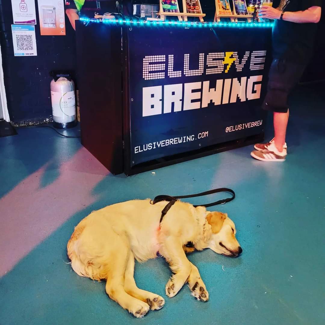 CraftTheoryFest's tweet photo. WE ARE BACK!!! 🍻🎧

Mega chilled vibes for session one 😘

Now getting ready for our SOLD out session two 😎

Let's go........🥳🥳🥳

#craftbeerandmusicfestival #sessionone #chilledvibes #amazingbeer #amazingfood #awesomepeople #rdguk https://t.co/336aCnLaX0