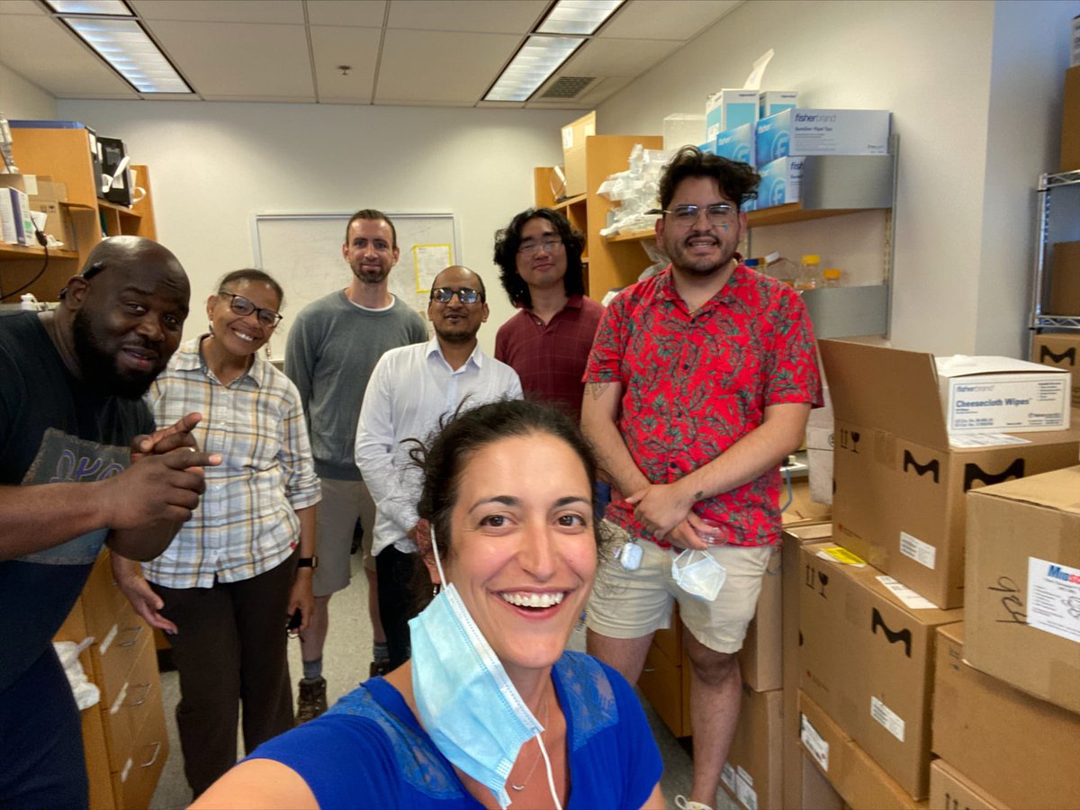 WellsLab tweet media