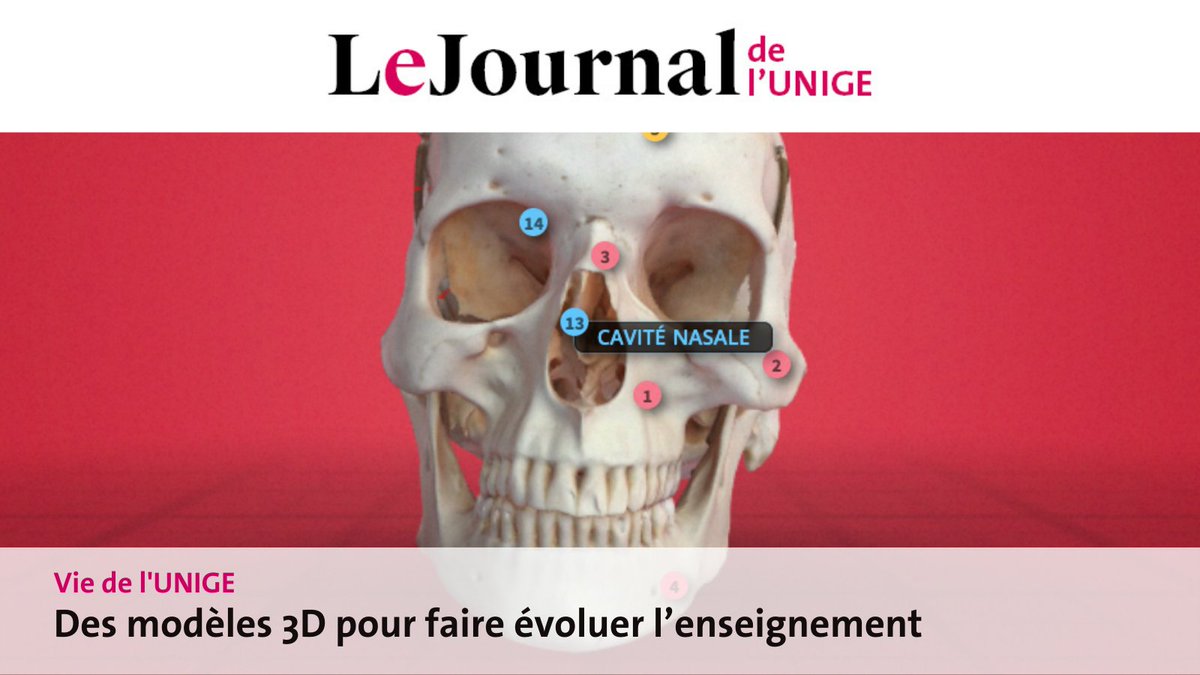 dacostju's tweet photo. @mdrechsler @YouTube Au @lamylab nous développons un outils pour l'annotation et le partage de modèles  #3D pédagogiques :

https://t.co/FsIJCPY6Kx https://t.co/TY2isu6kxu