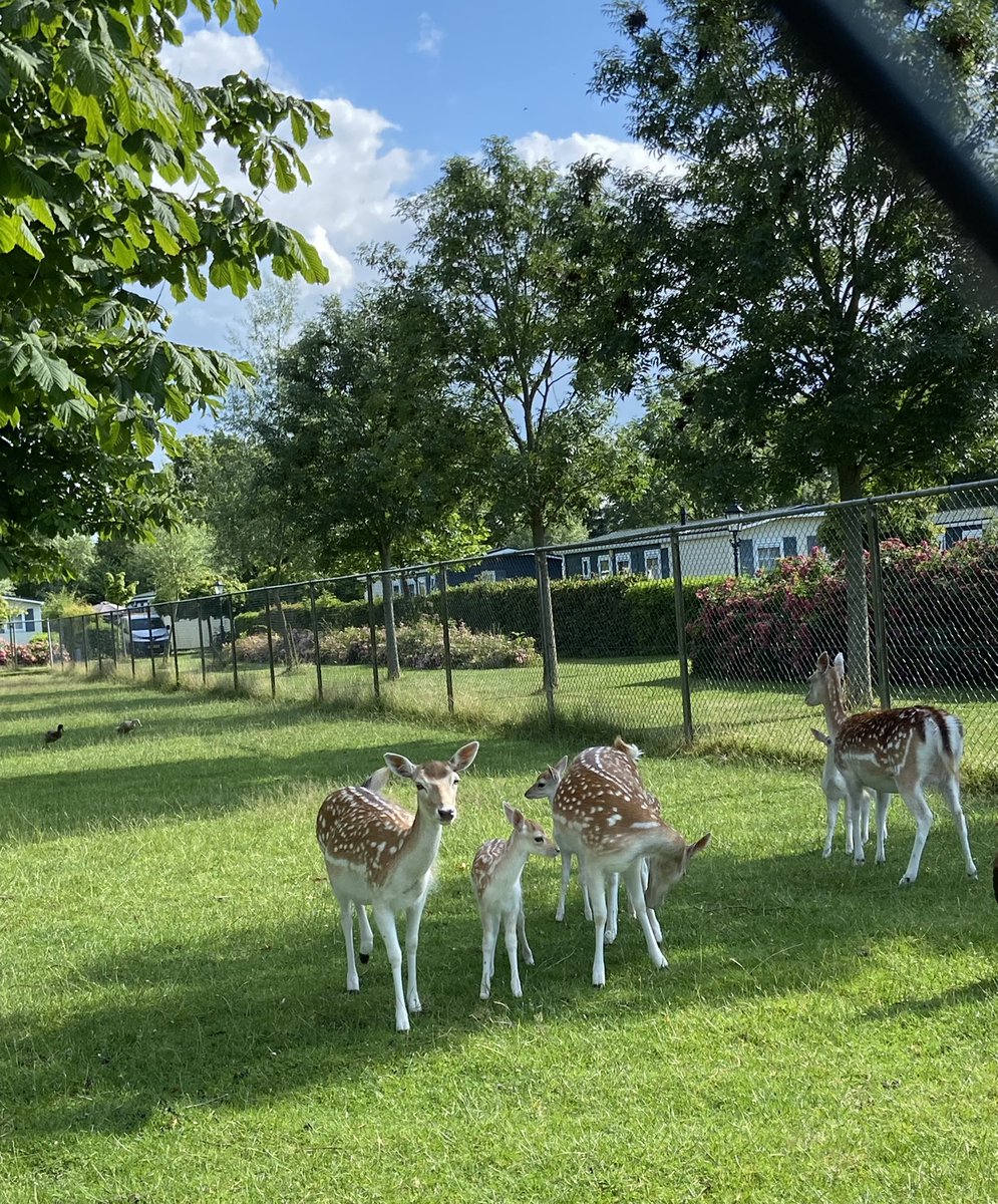 Baarland 14:45 #vrtweer