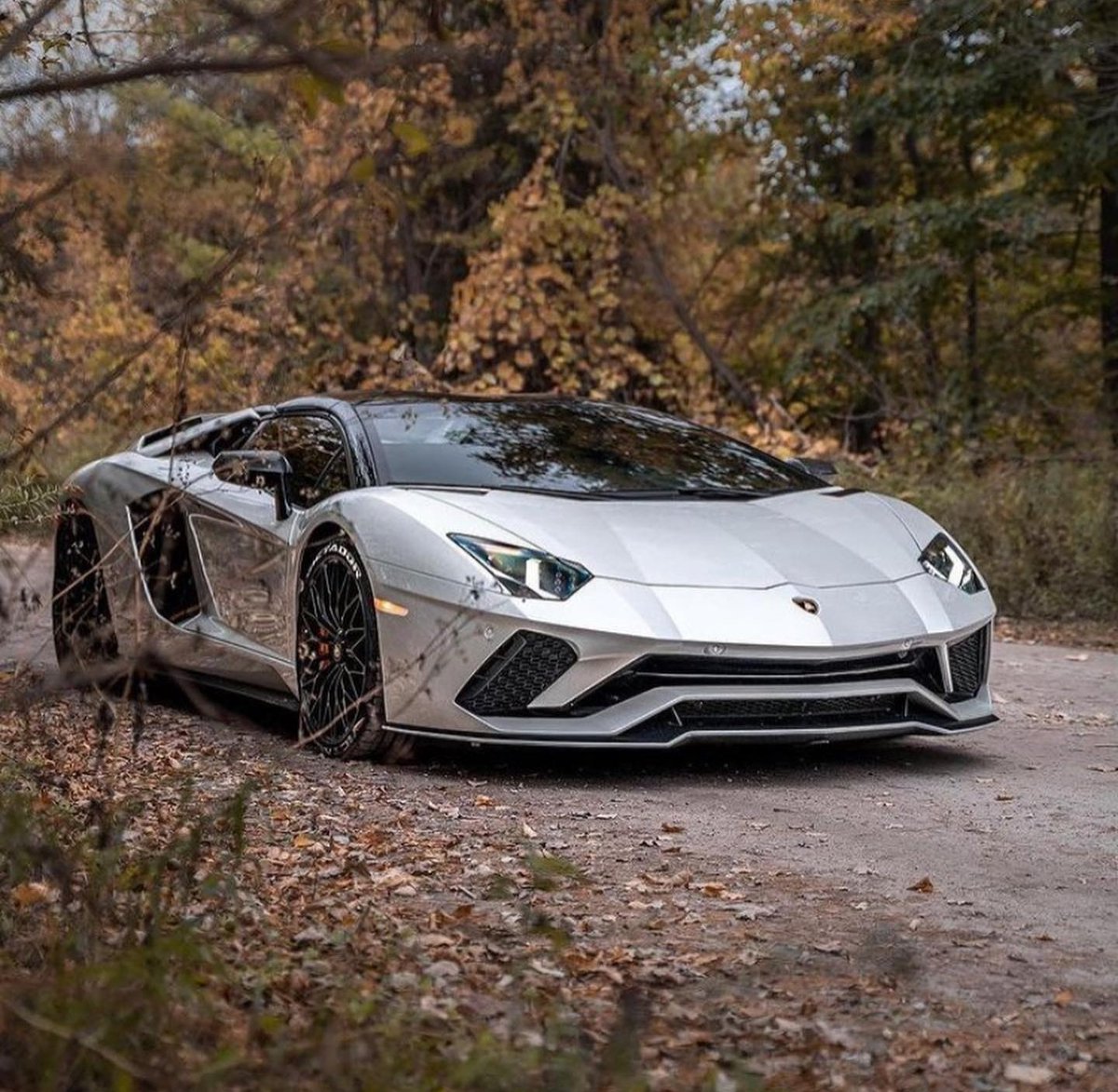 DailyLamboTM's tweet photo. Lamborghini Aventador S https://t.co/nBpx3W61KT