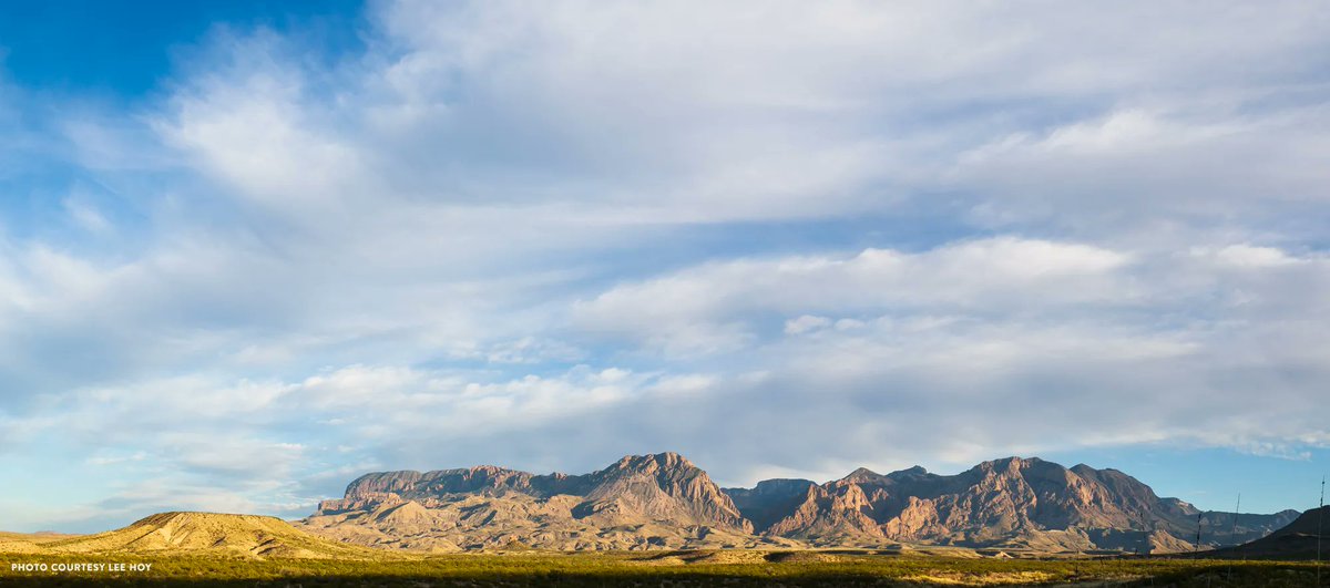 Visit Marfa tweet media