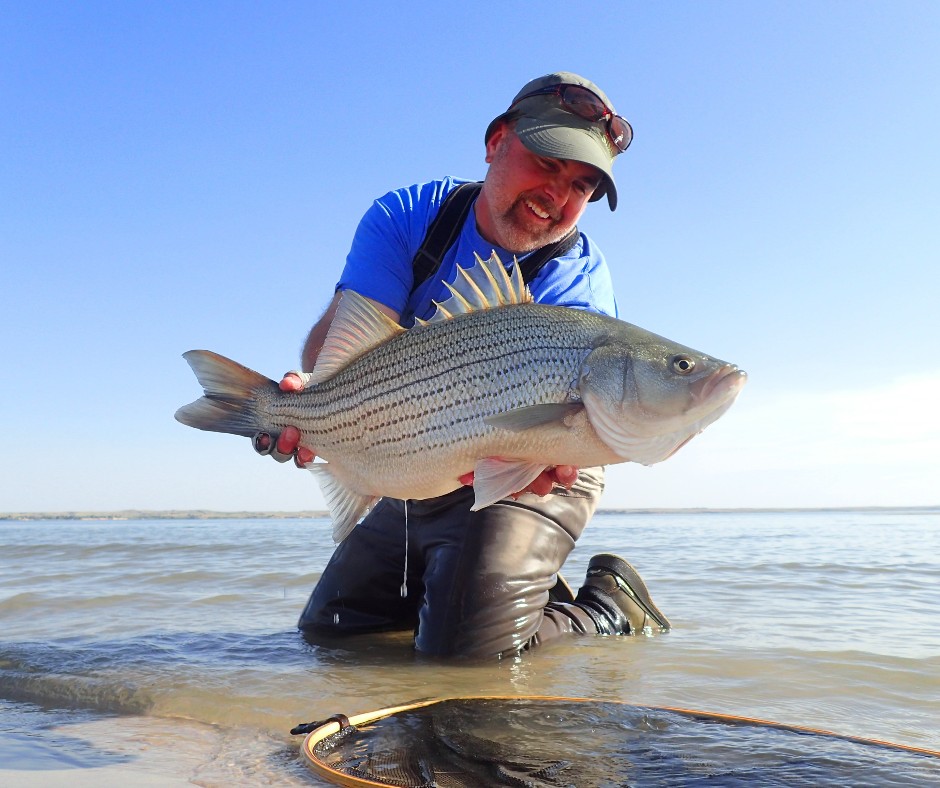 IGFA on Twitter "Lee Novotny recently submitted this 63centimeter