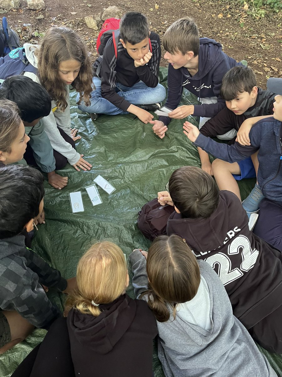 Group 6! Survivor 🔥