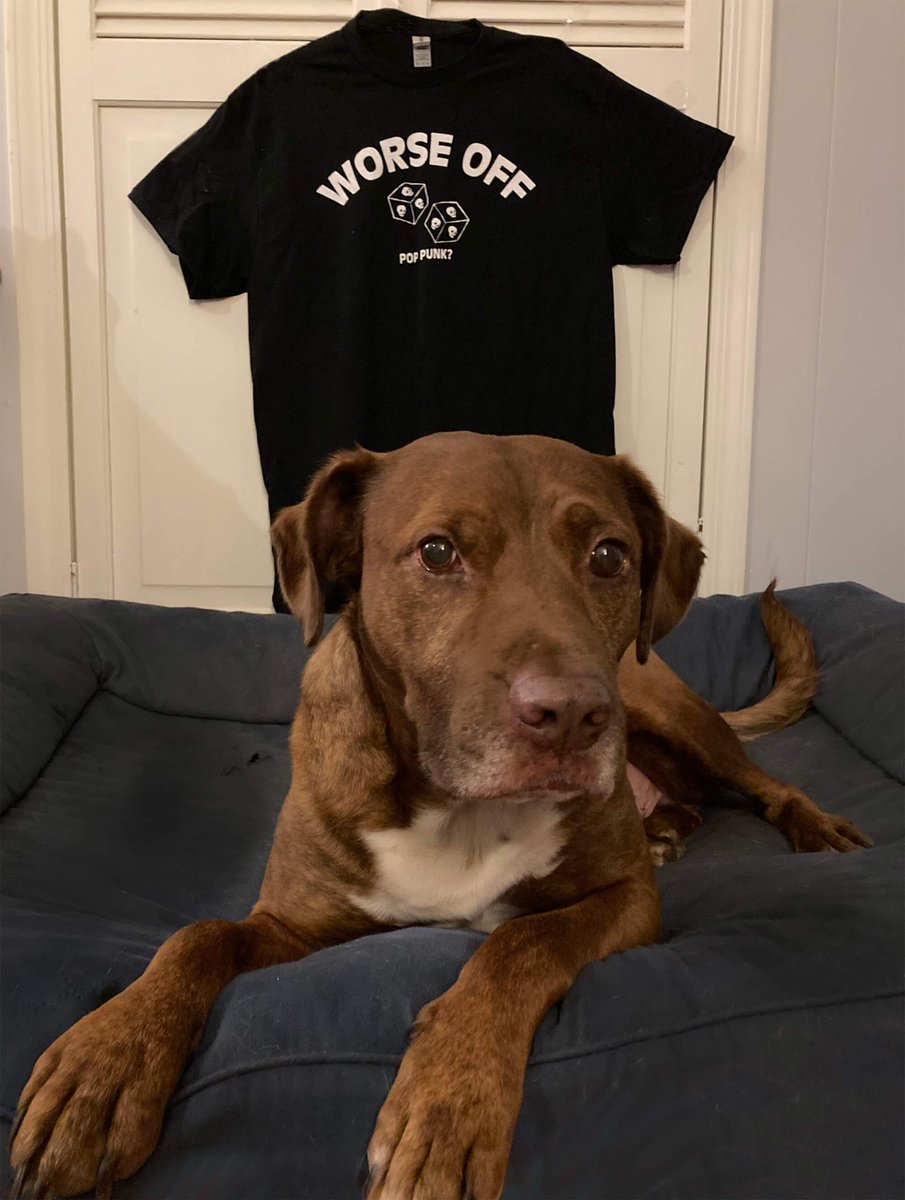 WorseOffAsABand's tweet image. Do you question using the term “pop-punk” as an adult? Do you want to look as good as Desmond here? Grab a shirt from our Bandcamp and we’ll donate the proceeds to @AbortionFunds for the next month.