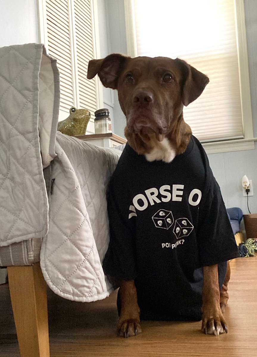 WorseOffAsABand's tweet image. Do you question using the term “pop-punk” as an adult? Do you want to look as good as Desmond here? Grab a shirt from our Bandcamp and we’ll donate the proceeds to @AbortionFunds for the next month.