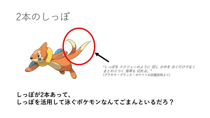 ポケモン週末レポート 11 ブイゼル リモートポケモン学会