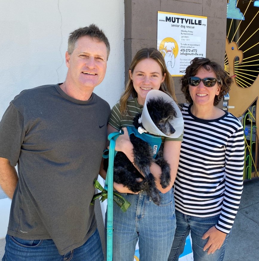 Hubble has a #forverhome with Julia, Tony, & Suzanne in Sunnyvale! This poodle boy was found as a stray in San Jose, we neutered him, fixed up his icky mouth and now he's healing in his new life! Hubble's foster said he was 110% good boy! Enjoy your new loving family! 😍👏