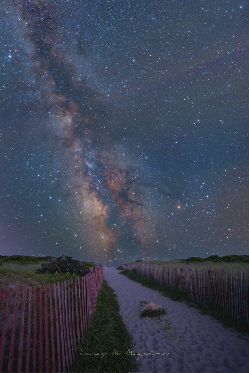 OceanStateAstro's tweet photo. The milky way rising over a path to East Beach in Charleston, Rhode Island.

#rhodeisland
#Astrophotography 
#nikonusa
#milkyway https://t.co/rjNJwZeBKc