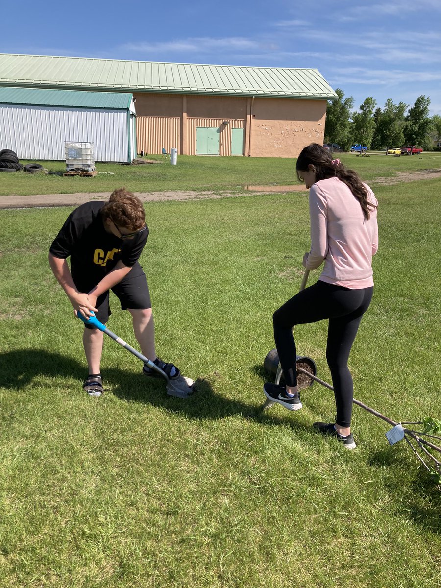 SHP Hockey School tweet media