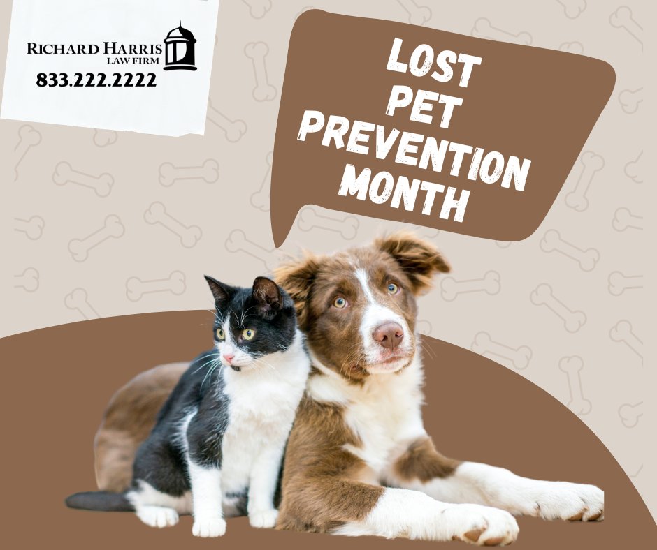 Happy National Lost Pet Prevention Month! 🐕🐈💗 In the United States, 80 million homes have an animal family member. Keep your pets safe by never leaving your pet unattended, collar and I.D. tag your pet, and make an escape-proof enclosure available.