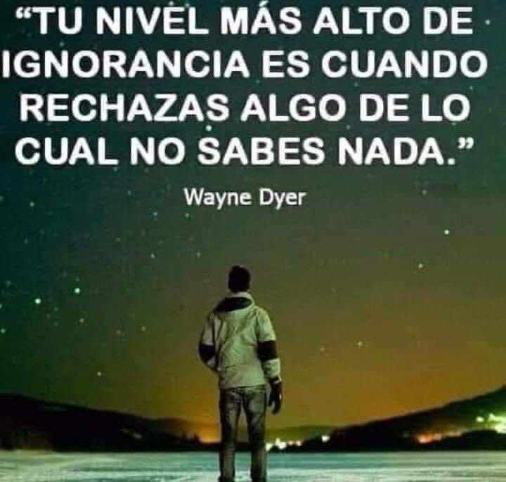 Helia Molina Milman (@heliamolina_m) on Twitter photo 